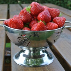De aardbei, het meest sexy fruit ter wereld De aardbei, het meest sexy fruit ter wereld